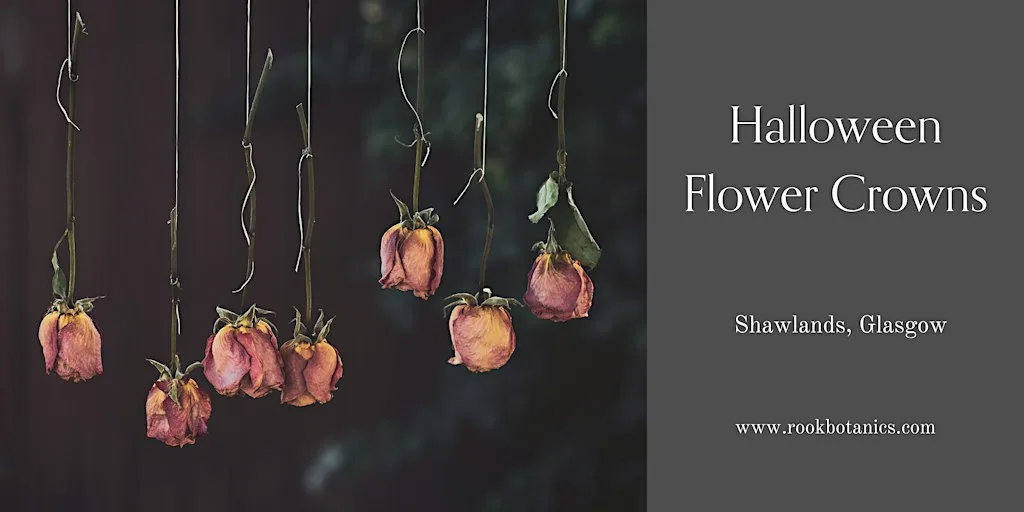 Halloween Flower Crowns at Rook Botanics