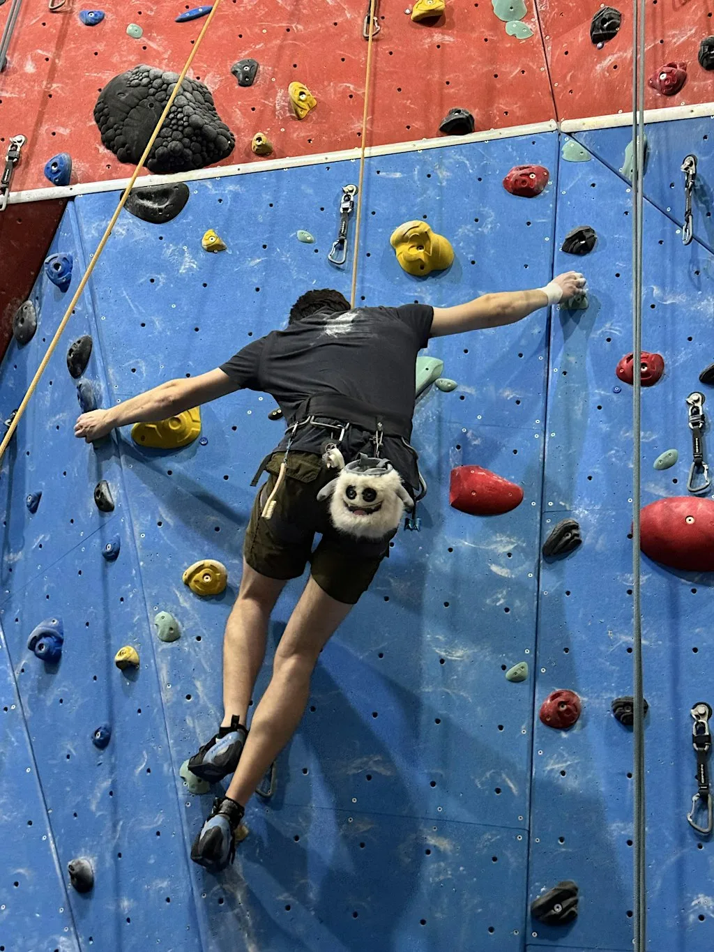 Freeklime Taster session Friday 2nd October 3pm
