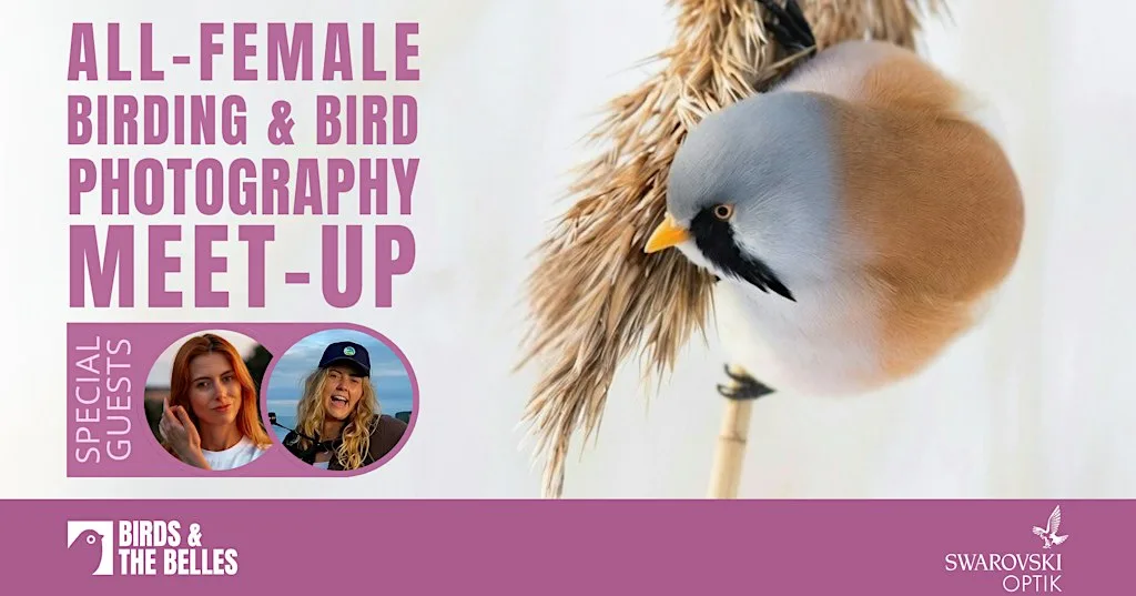 BATB Birthday Birding & Photography Meet-Up