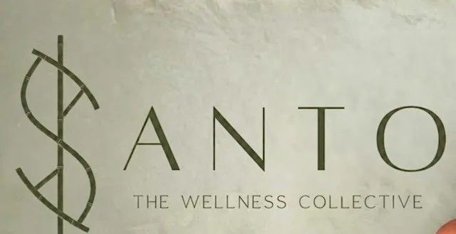 Waterlooville Business Networking at Santo Wellness at Santo The Wellness Collective