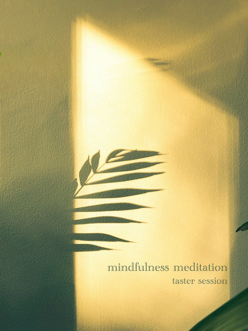 Mindfulness Meditation Taster Session - hosted by Niall Miller at The Bothy within The Hidden Gardens @ the Tramway