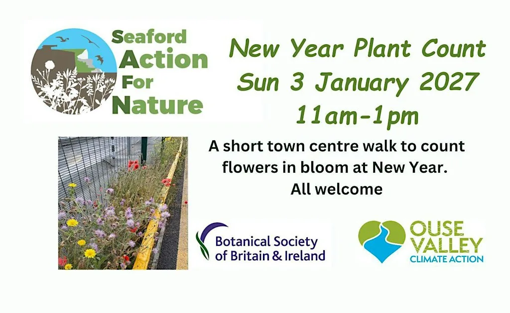 New Year Plant count in Seaford 2027