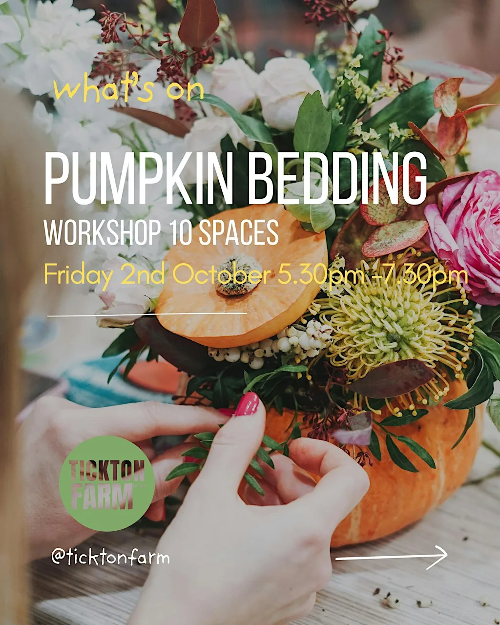 Pumpkin Bedding Workshop Friday 2nd October 5.30pm -7.30pm at tickton Farm