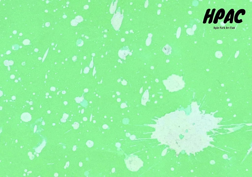 Pat Riot presents Film Screening & Artist talk at Hyde Park Book Club