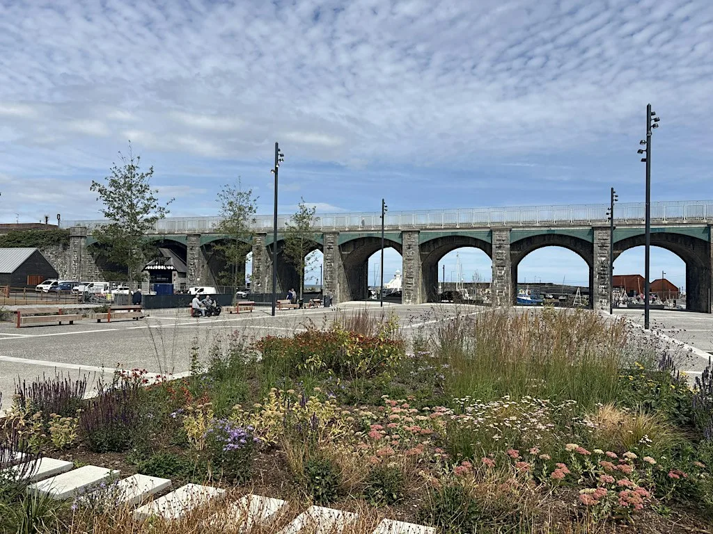 AAI Site Visit: Quay Street & Environs, Balbriggan - Paul Keogh Architects
