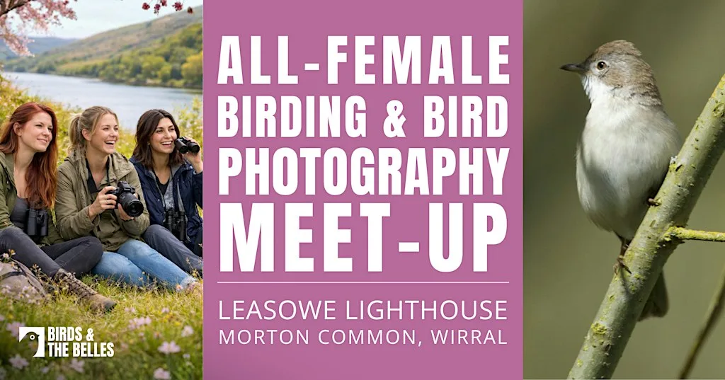 All- Female Birding & Bird Photography Morning at Leasowe Lighthouse