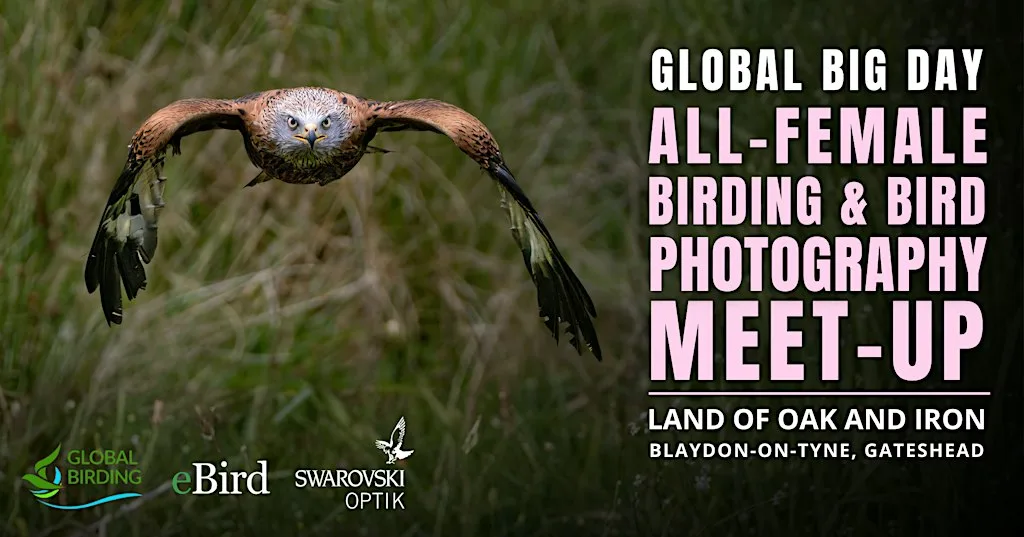 Global Big Day - All-Female Birding & Bird Photography Morning
