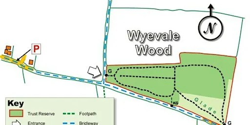 Nature Reserve Work Party - Wyevale Wood - Clearance at Wyevale Wood