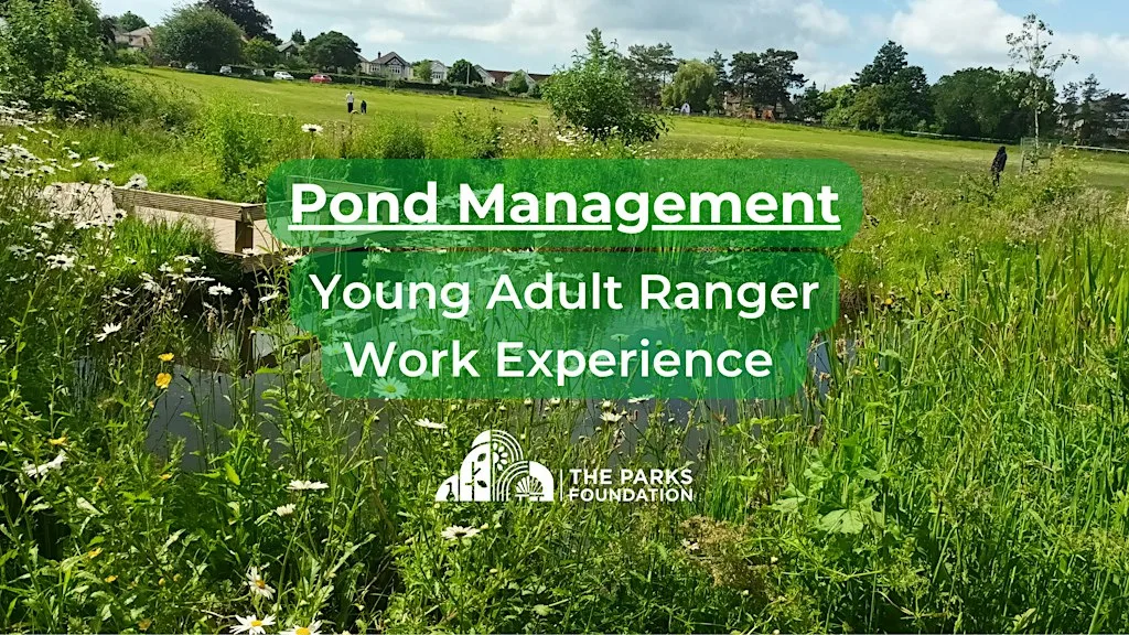 Pond Management- Young Adult Ranger Work Experience at Winton Rec at Winton Recreation Ground