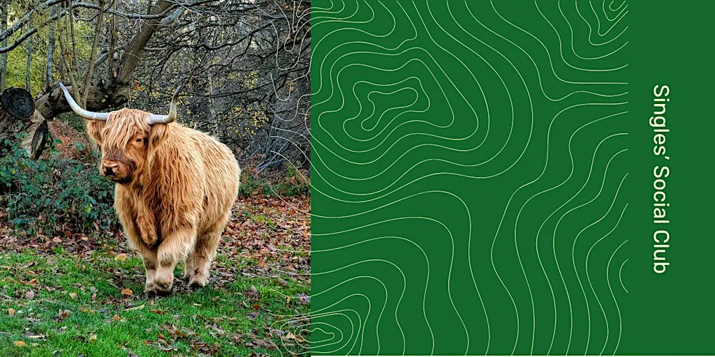 24-38 Singles' Social Walk | Woodland, Cows & Conversations | Prelude* at Cafe Lumiere