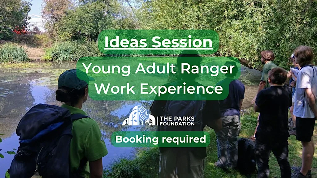 Ideas Session - Young Adult Ranger Work Experience at Kingfisher Barn