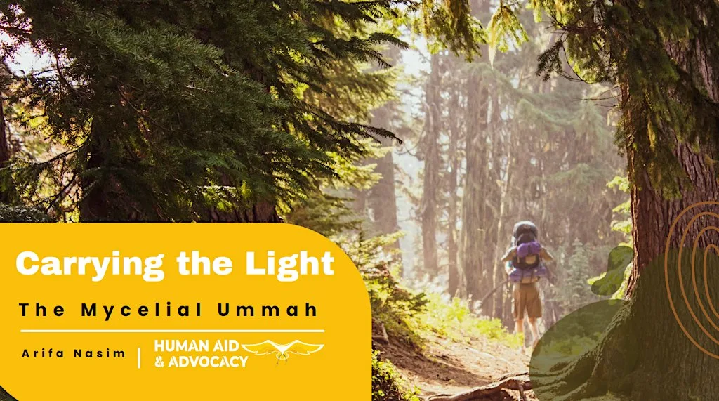 Carrying the Light - Exploring Heart Led Activism
