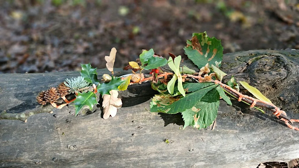 Autumn Nature Mindfulness guided walk
