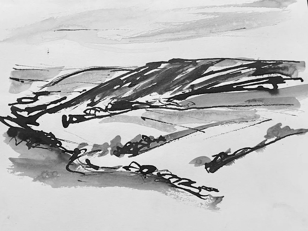 Sketchbook Lab Dore at Christ Church Dore Community Centre
