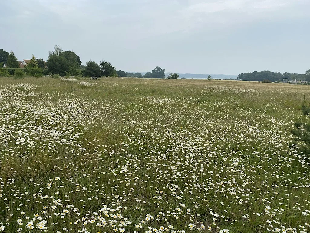 Action for Nature