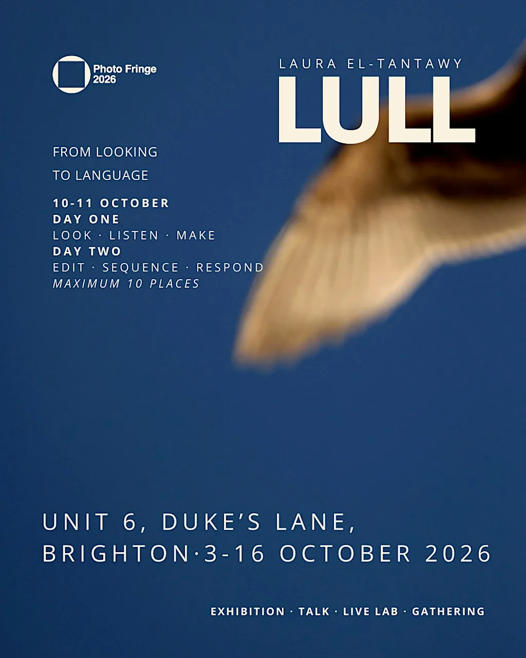 Brighton Photography Workshop: LULL LIVE LAB with Laura El-Tantawy