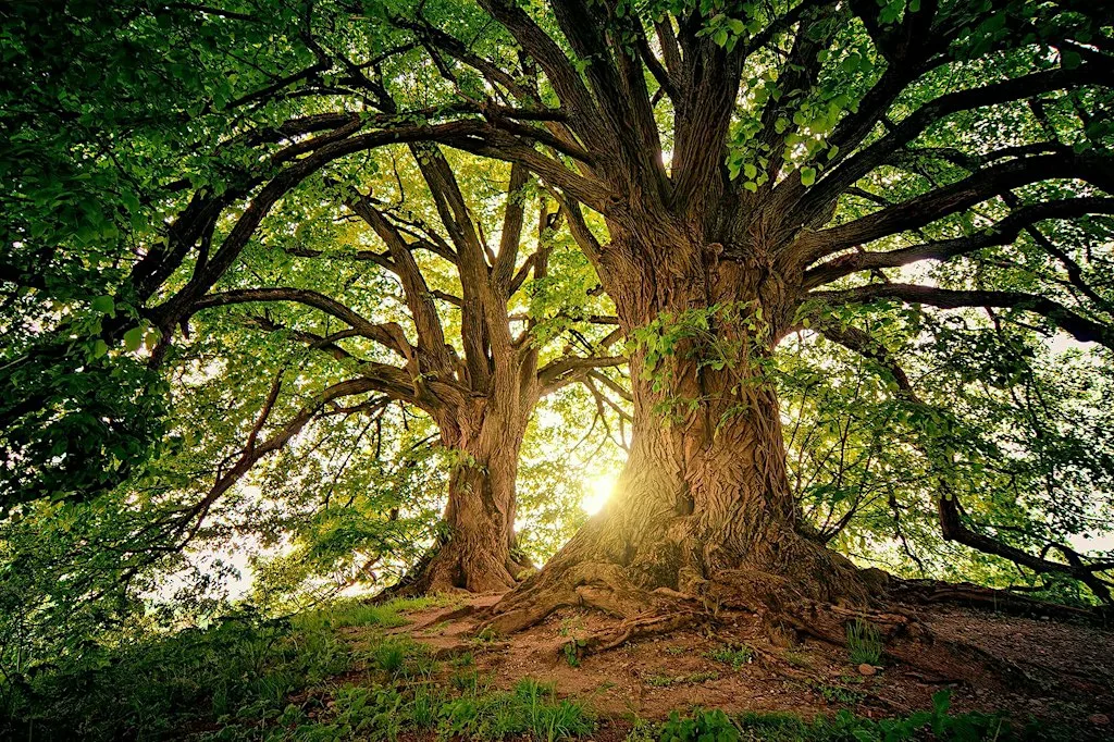 Green Imaginings: Art, Ecology and Europe’s Future at Smashing Times International Centre for the Arts & Equality
