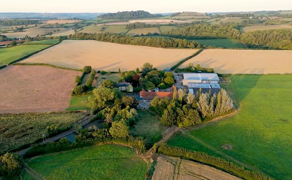 Community site tours of Lower Chew Forest - Sunday 15th November