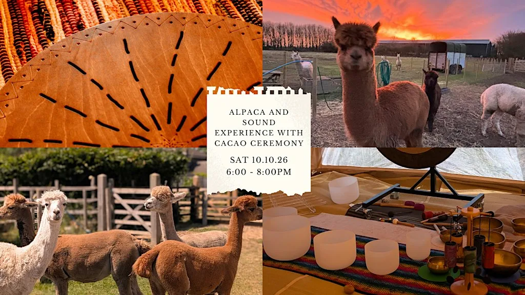 Wild Stillness: Alpaca and Sound Experience with Cacao Ceremony at The Meadows