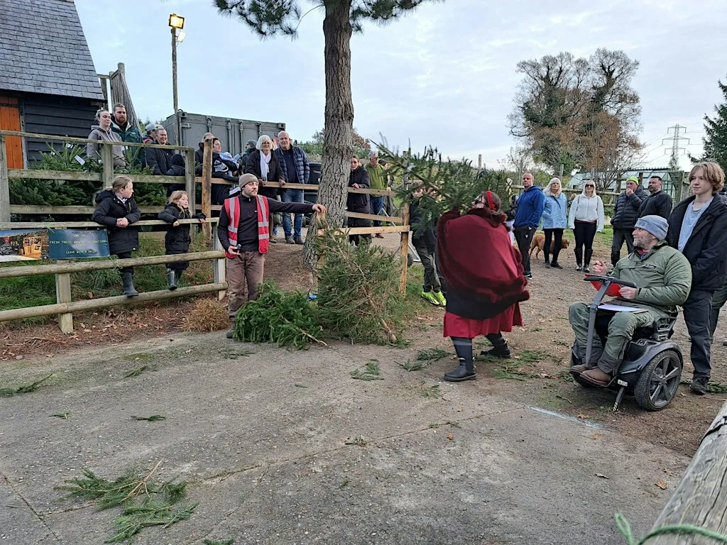 Catsfield Christmas Tree Fling at Catsfield Christmas Tree Farm