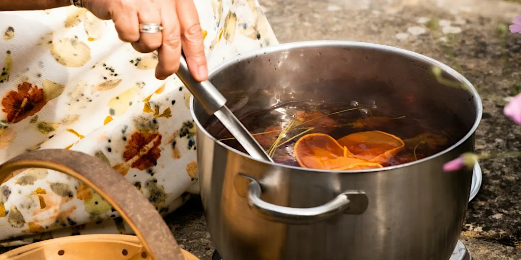 Introduction to Natural Dyeing at Rye Creative Centre