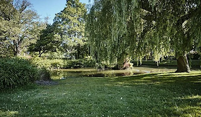 Wellbeing and Wildlife Walk