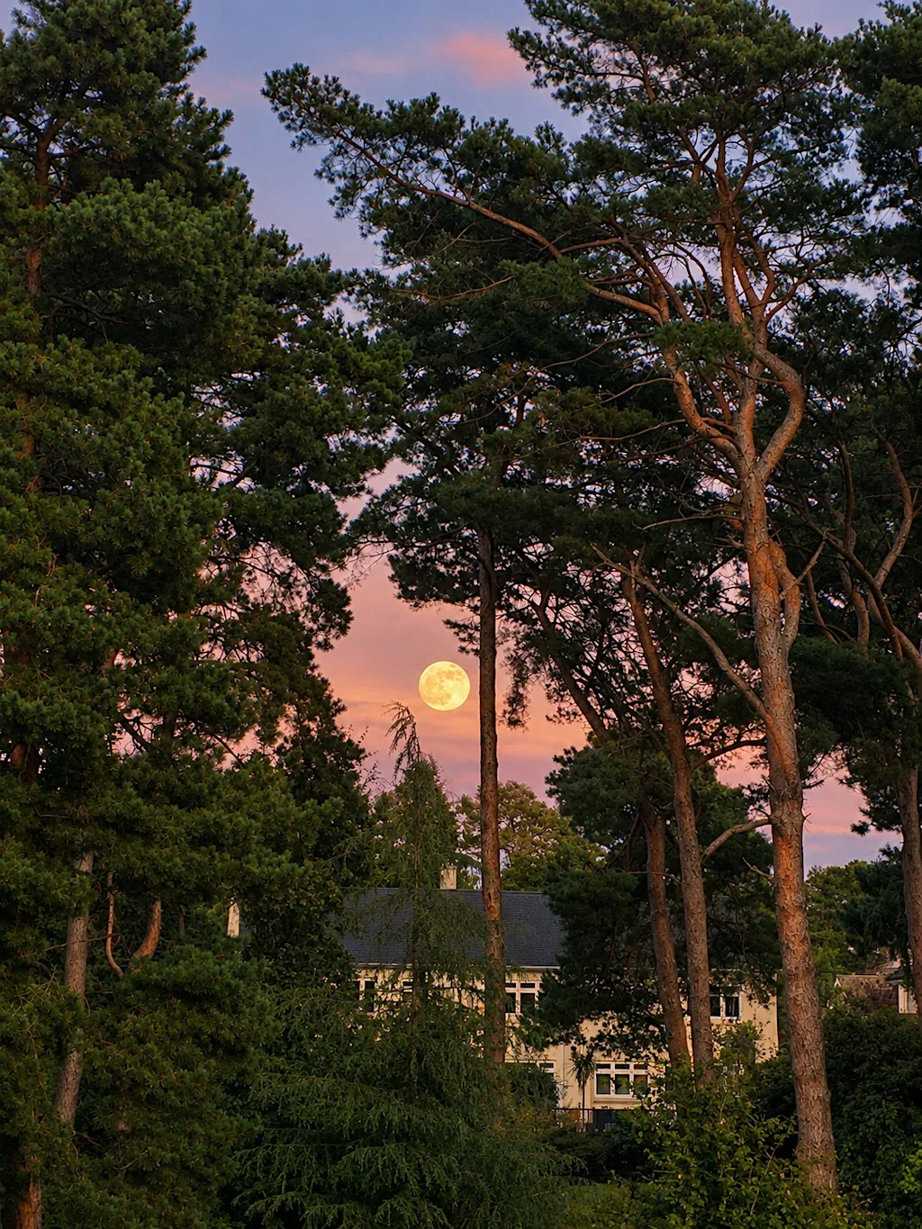Autumnal Full Moon Day Retreat