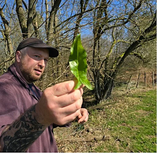 Foraging Walk with Flavour Fred at Veterans' Growth, Cottage Lane, Westfield, Hastings