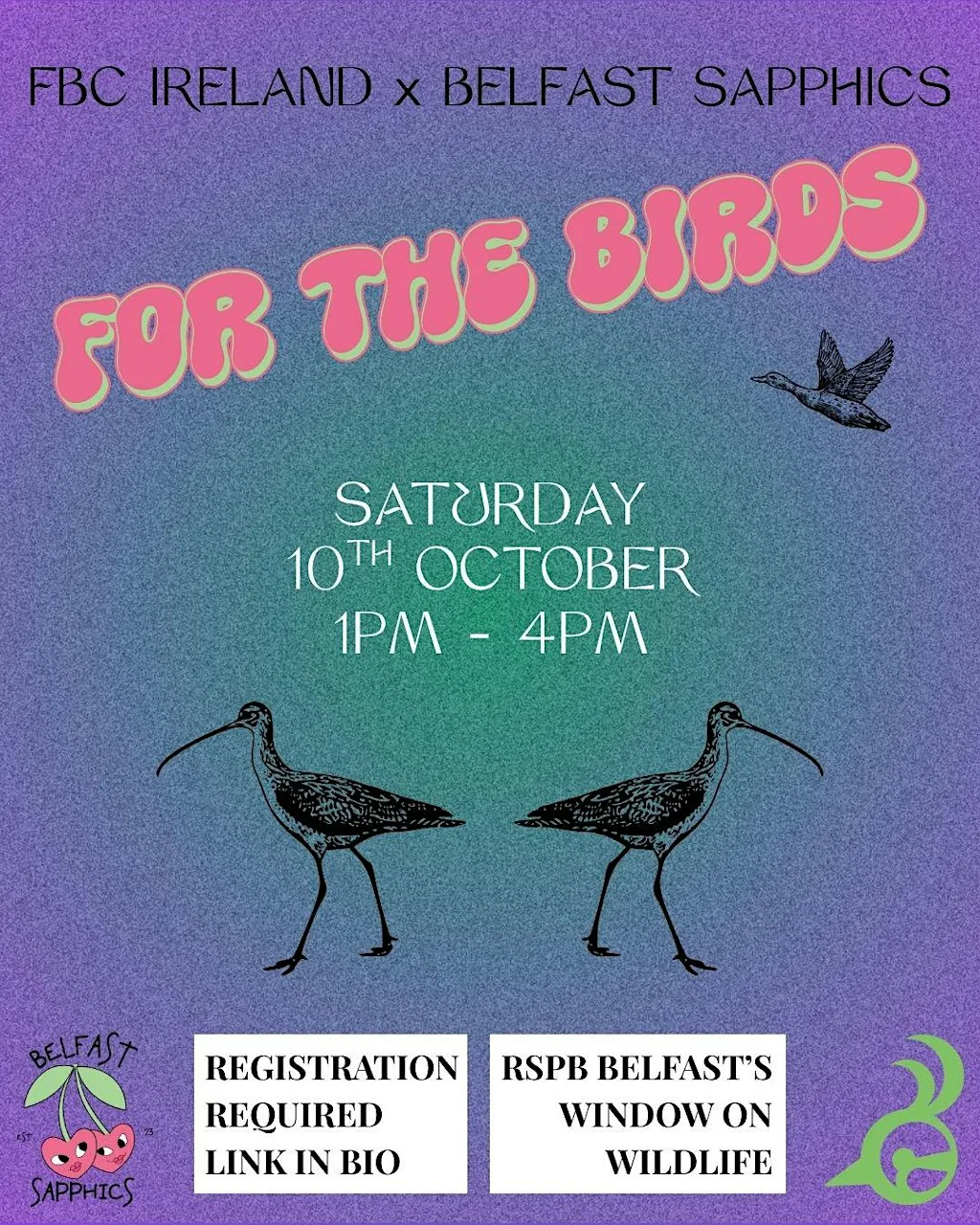 FBC x Belfast Sapphics: For the Birds at RSPD Belfast's Window on Wildlife