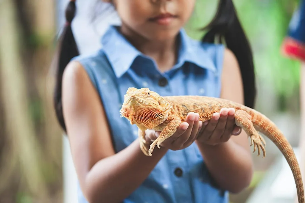Reptile Experience - Tuesday 27th October