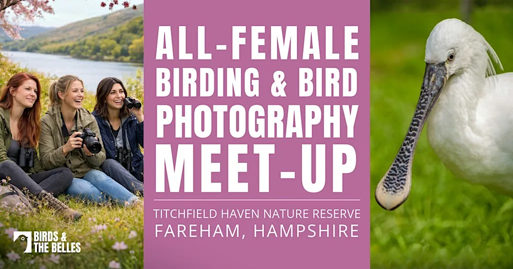 .All-Female Birding & Bird Photography Morning at Titchfield Haven National Nature Reserve