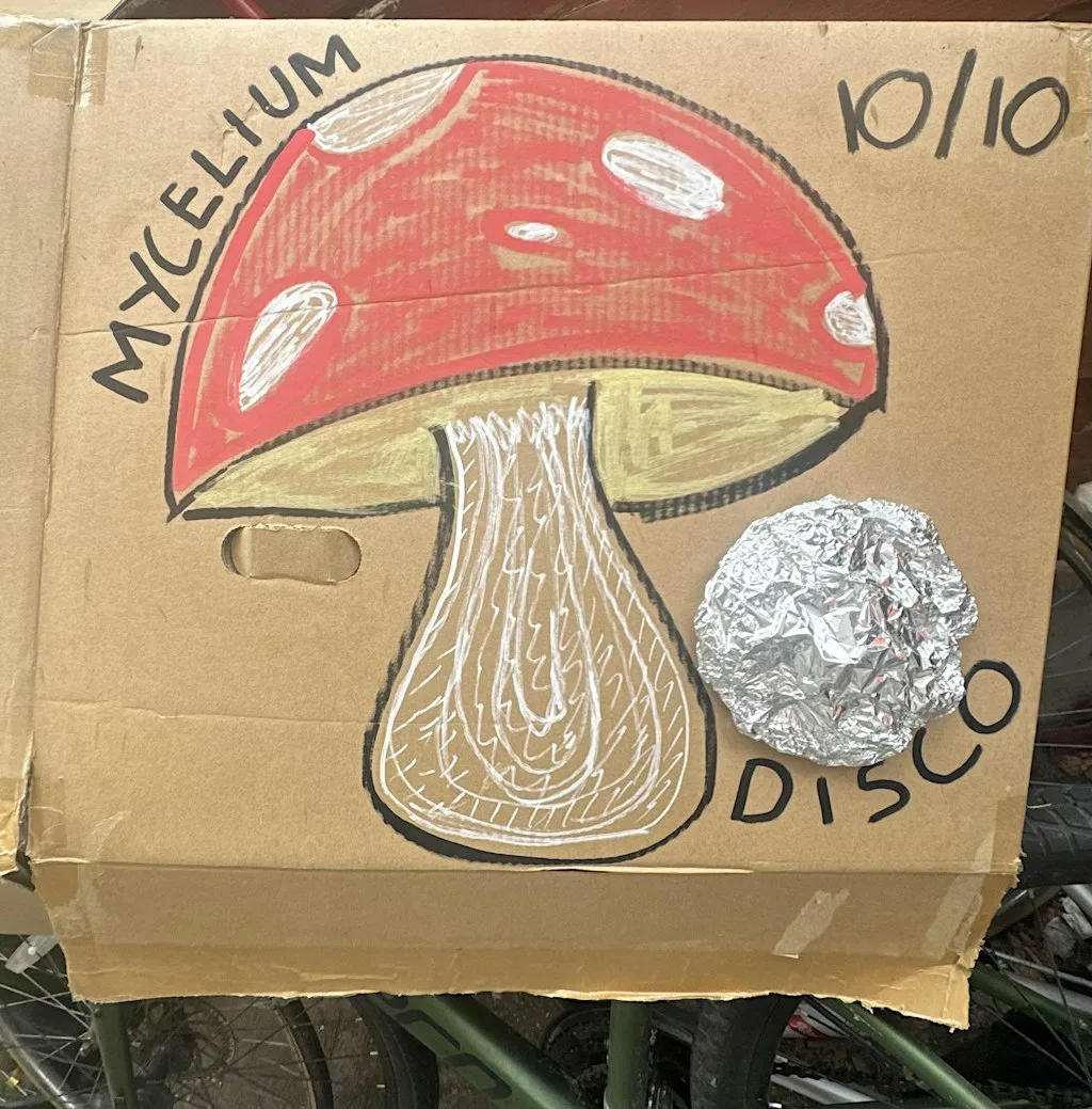 Mycelium Disco - Restore the land via the medium of dancing at Nelstrop Road North, Stockport