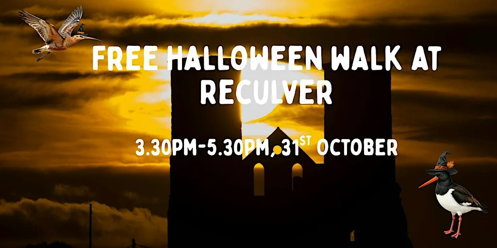 Birdwise halloween guided walk at Bishopstone Lane
