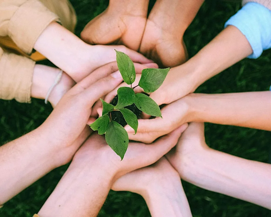 Belonging Matters: Building Trust and Creating Inclusive Communities at involve Community Services