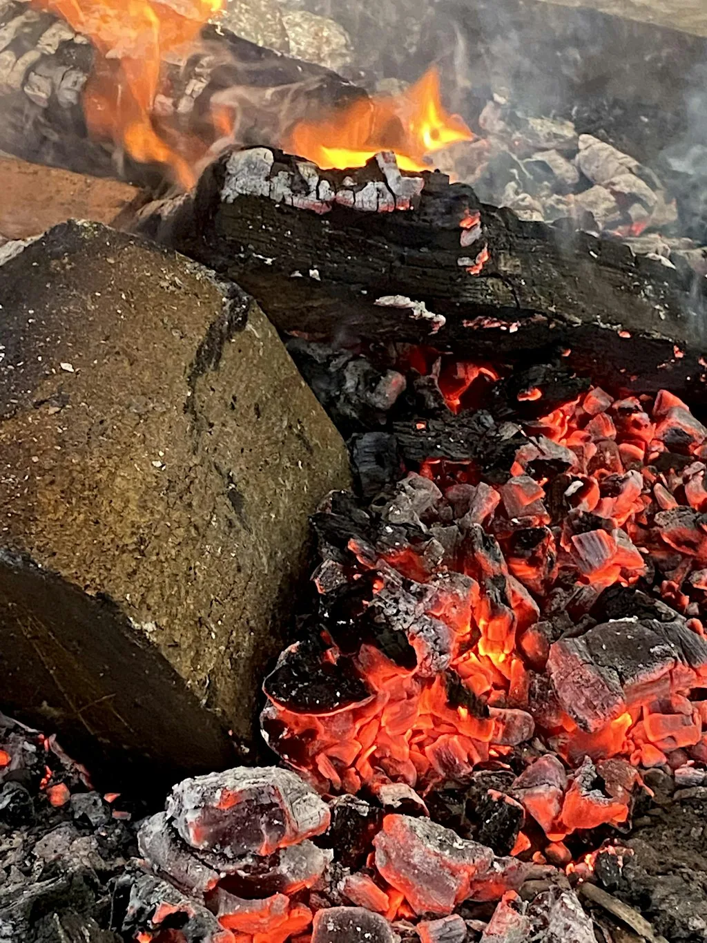 Frosty dens and campfire Smore's at Ryton Pools Country Park