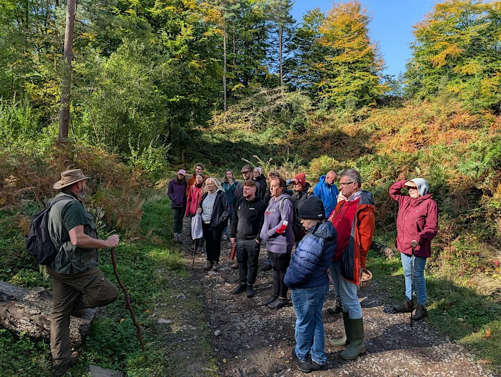 Blaen Bran Autumn Nature Walk: Tree Identification & Seed Collecting