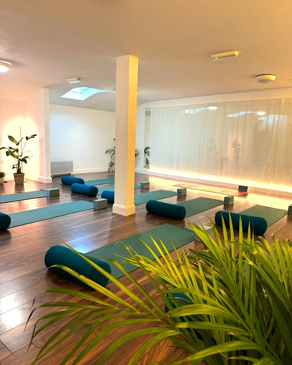 PRIMAL Breathwork: An Immersive Nervous System Reset with Wireless Headsets
