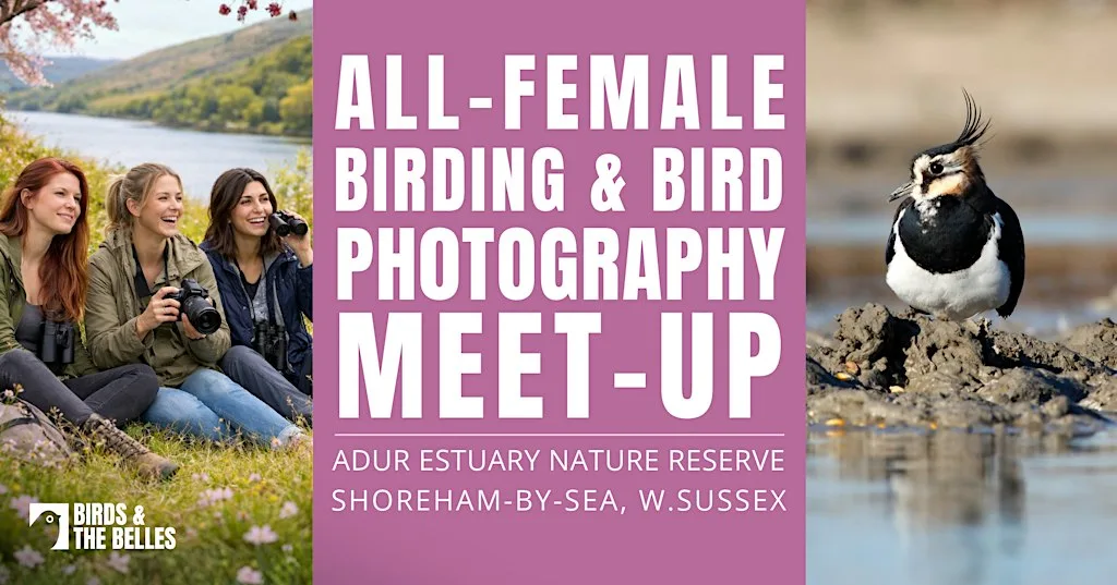 All-Female Birding & Bird Photography Morning