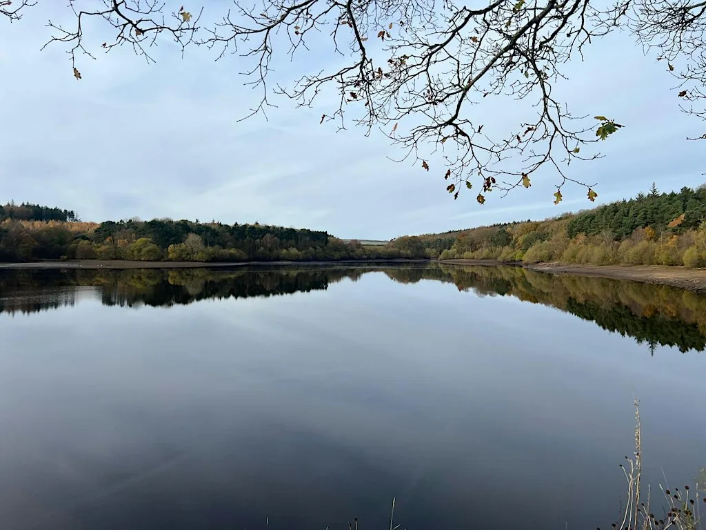 Swinsty Well being walk