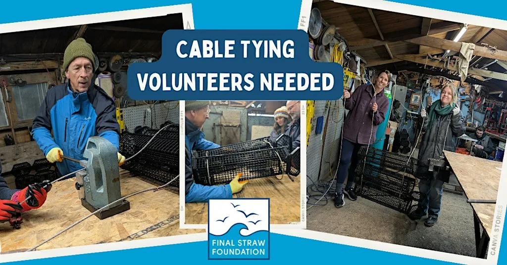 Make Oyster Homes with FSF - part 2