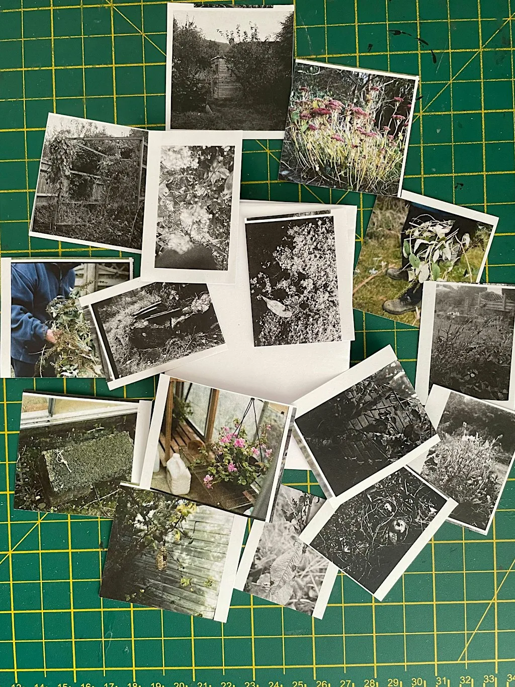 Communal: Eco-Emotions Collaborative Zine-Making at Aspex Portsmouth