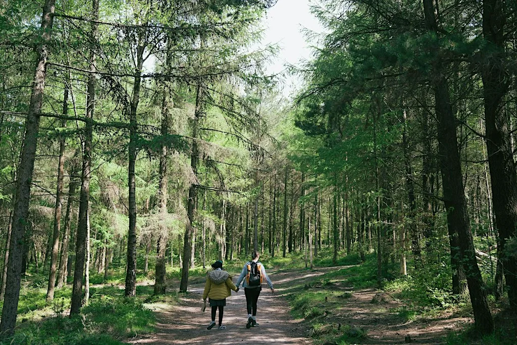 Inclusive Natural Heritage in-person networking event