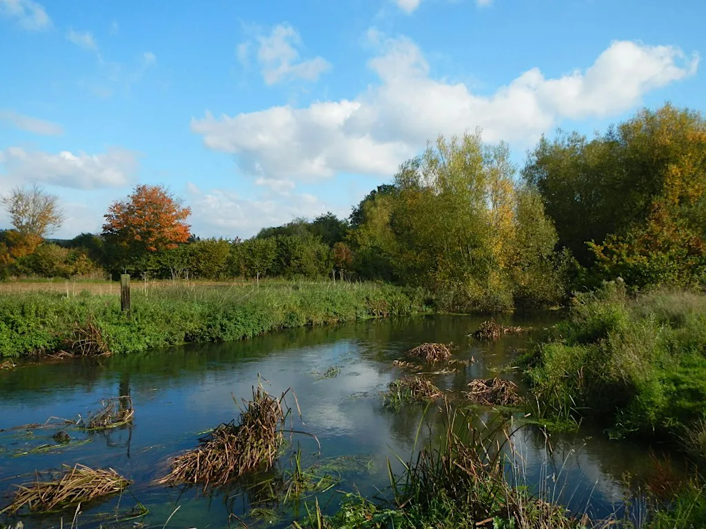 Halloween Waggy Walk at Shepherd Meadows at Shepherd Meadow Car Park