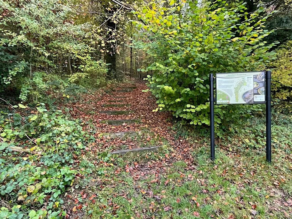 Castlefield & Rowliff Woodland Working Party at Dashwood Avenue