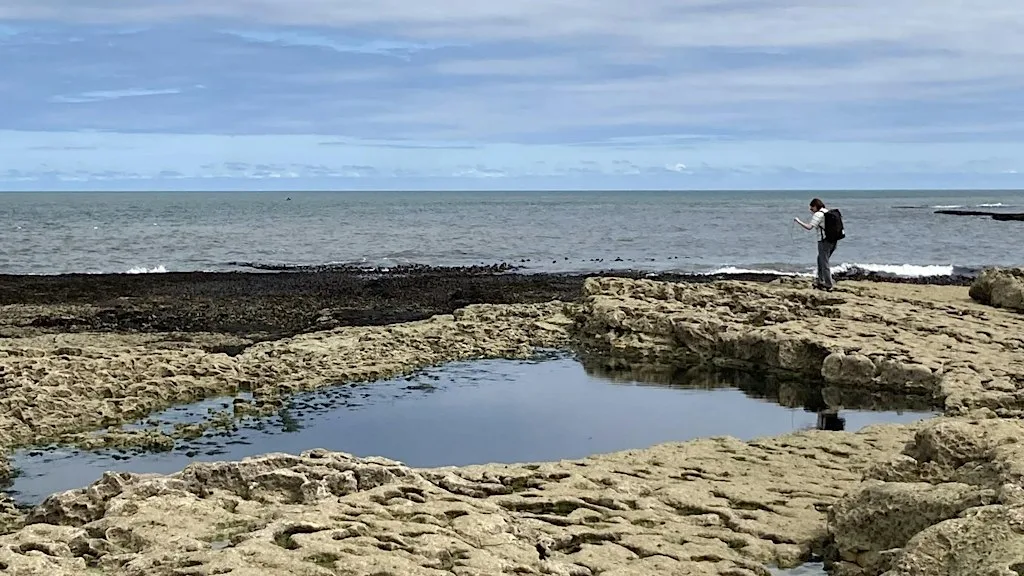 Sounding the local – experiment with soundscapes