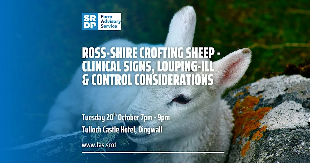 Ross-shire Crofting Sheep - Clinical Signs, Louping-ill & Control