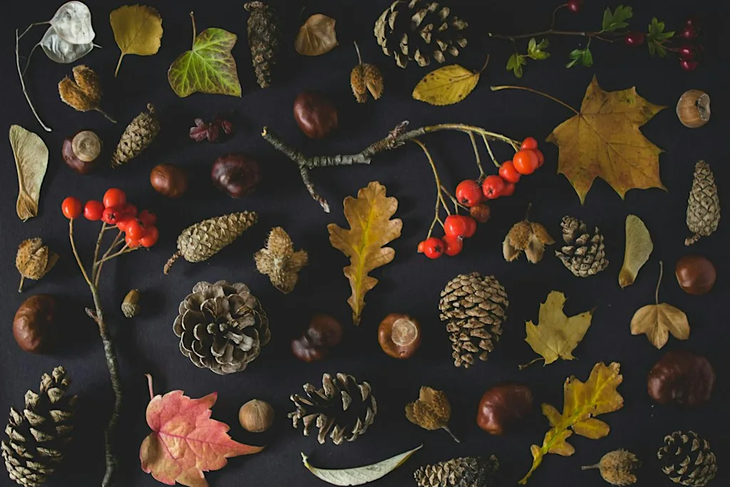 Offline Club Leicester - Cosy Crafts & Autumnal decorations at Exhale Studio in Clarendon Park