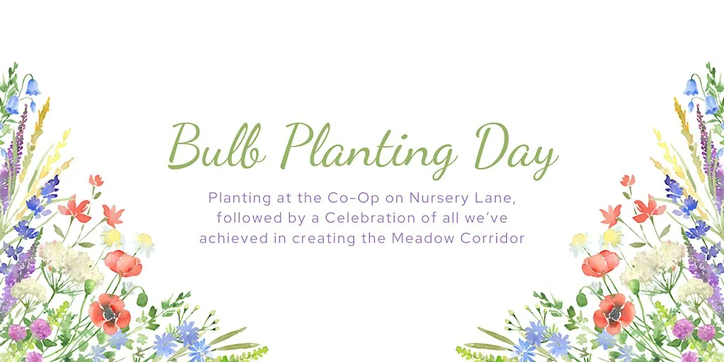 Bulb Planting at Nursery Lane Co-Op + Meadow Corridor Celebration