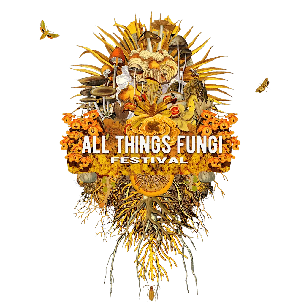 All Things Fungi - Biofluorescent night walk-see what glows, Mushroom foray at Urban Forage