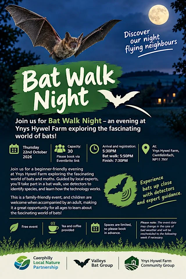 Bat Walk Night at Ynys Hywel Farm
